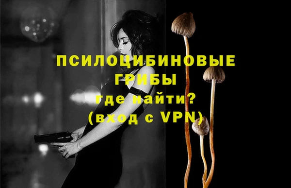 spice Гусь-Хрустальный