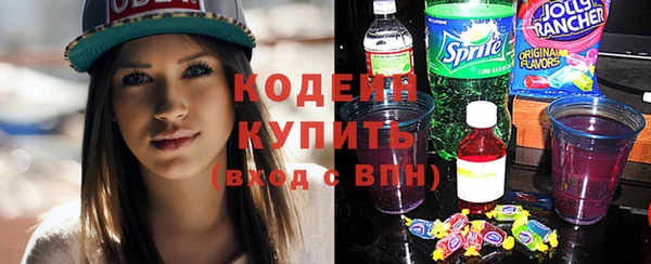spice Гусь-Хрустальный