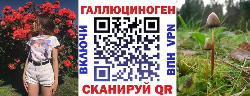 это клад  Жуковка  Псилоцибиновые грибы GOLDEN TEACHER 